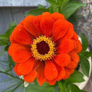 Meet your Posher, Jacqueline